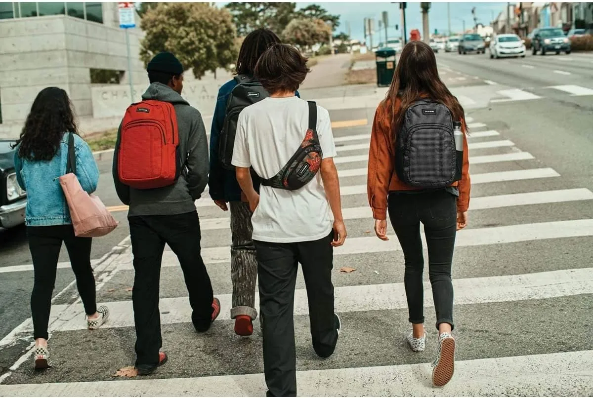 Dakine Unisex Hip Pack