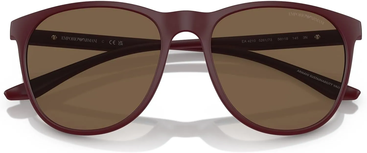 Emporio Armani Men's Ea4210 Round Sunglasses