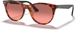 Ray-Ban Men's RB2185 Wayfarer Ii Evolve Photochromic Round Sunglasses