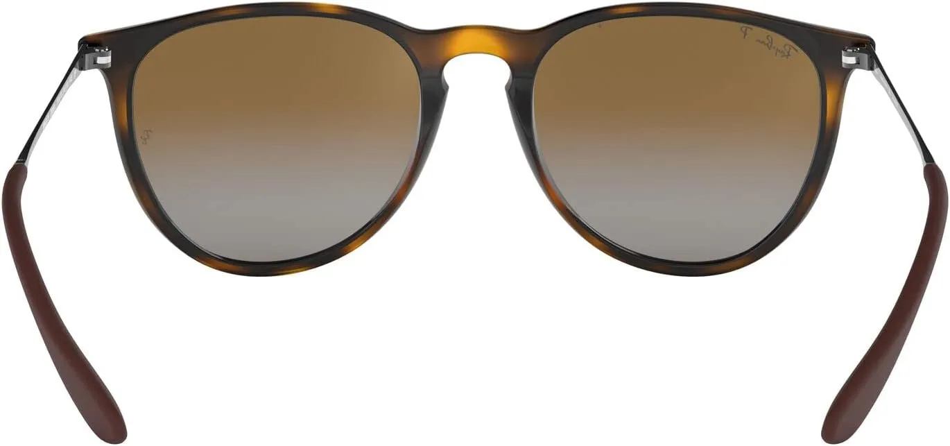 Ray-Ban RB4171 Erika Round Sunglasses