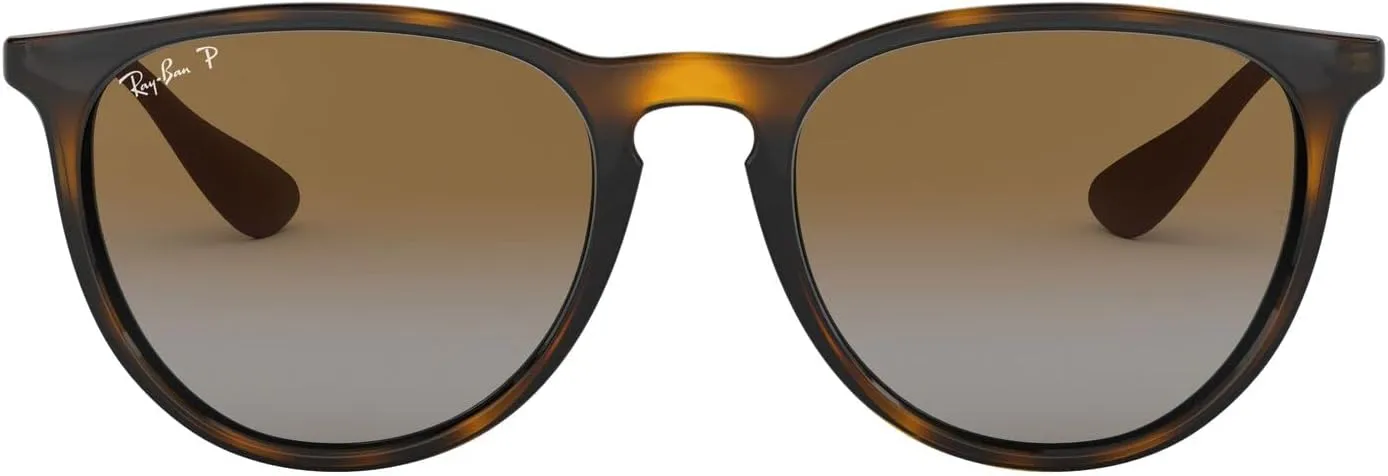 Ray-Ban RB4171 Erika Round Sunglasses