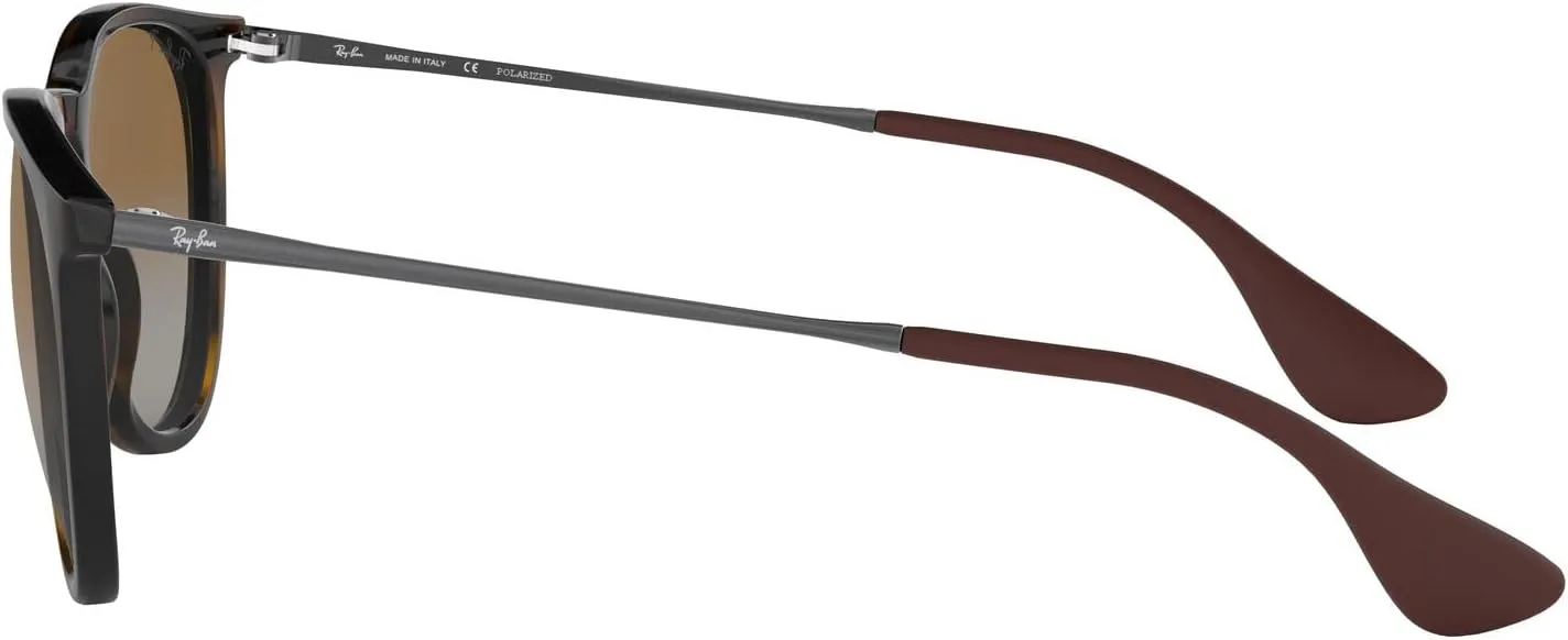 Ray-Ban RB4171 Erika Round Sunglasses