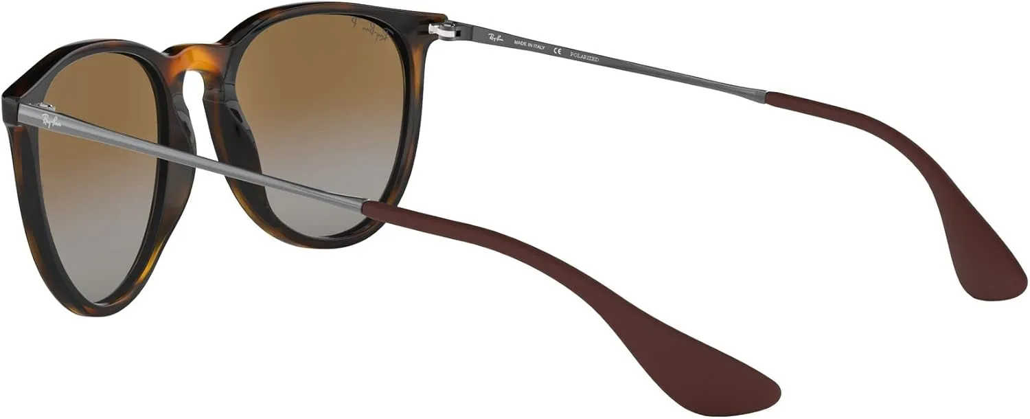 Ray-Ban RB4171 Erika Round Sunglasses