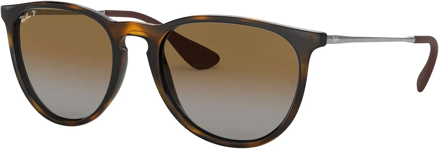 Ray-Ban RB4171 Erika Round Sunglasses
