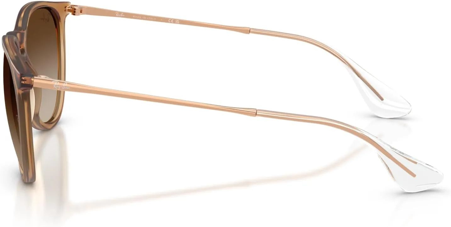Ray-Ban RB4171F Erika Low Bridge Fit Round Sunglasses