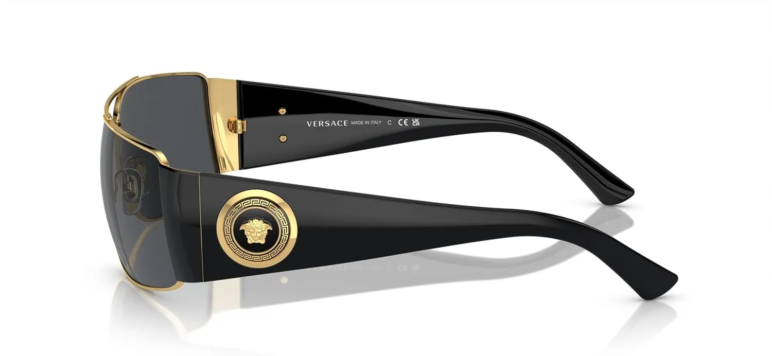 Versace Man Sunglasses Gold Frame, Dark Grey - Polar Lenses, 63MM